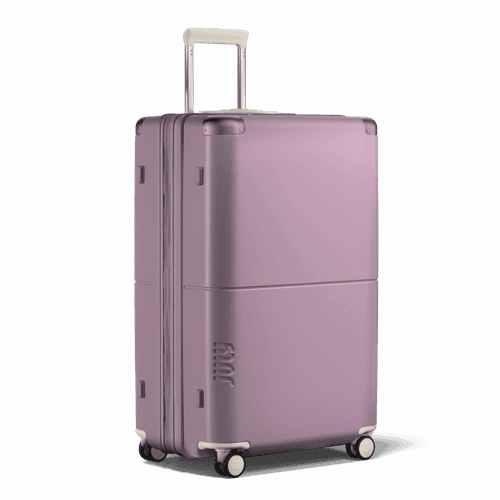 Shop All_CS CHKPEx_Orchid.png