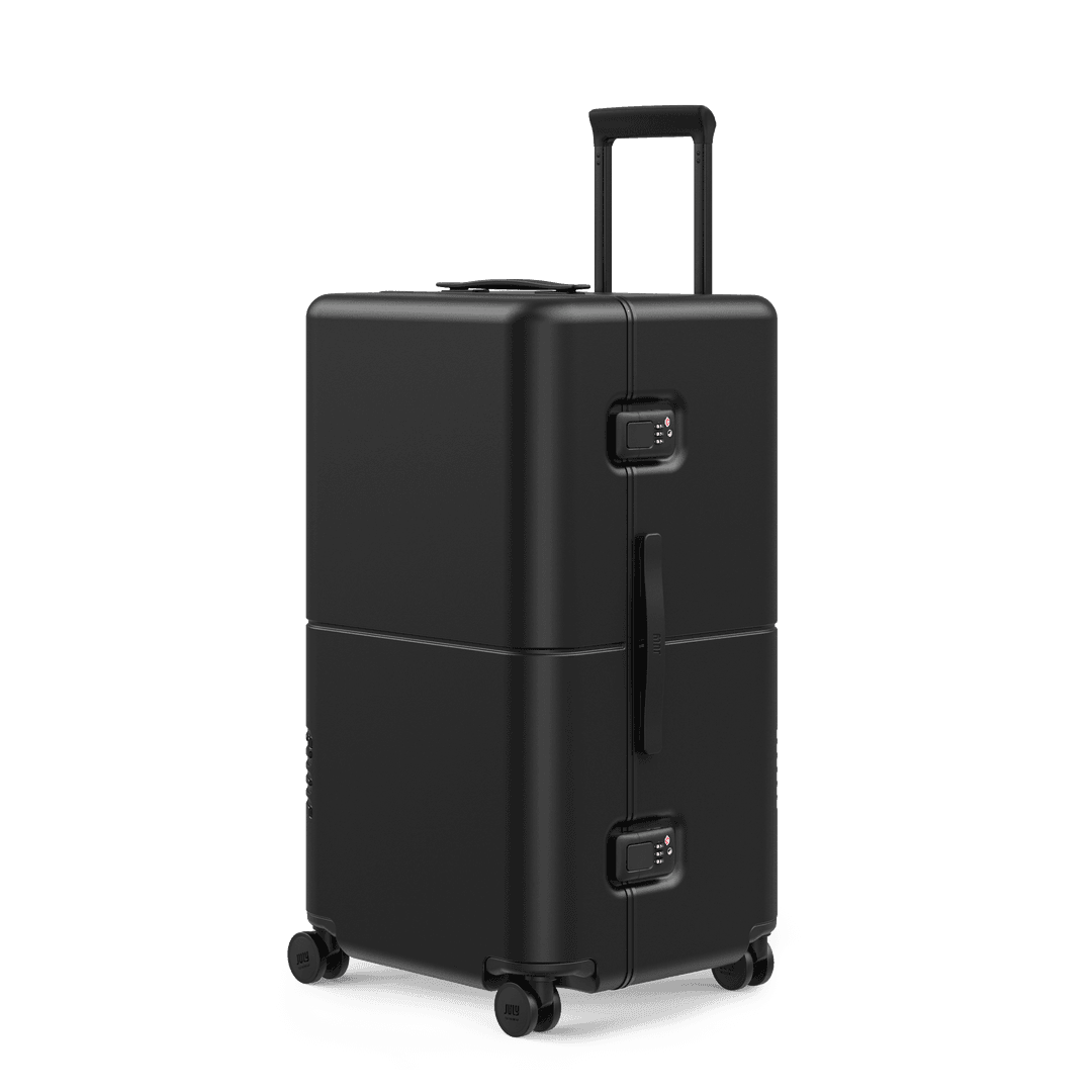 Checked Luggage July