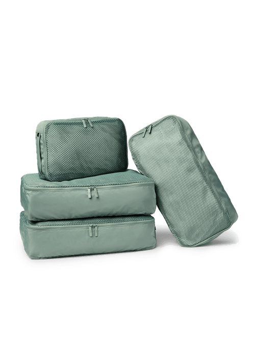 4P_Mint_Packing Cell_1.png