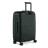 CHKL_Forest 10.png