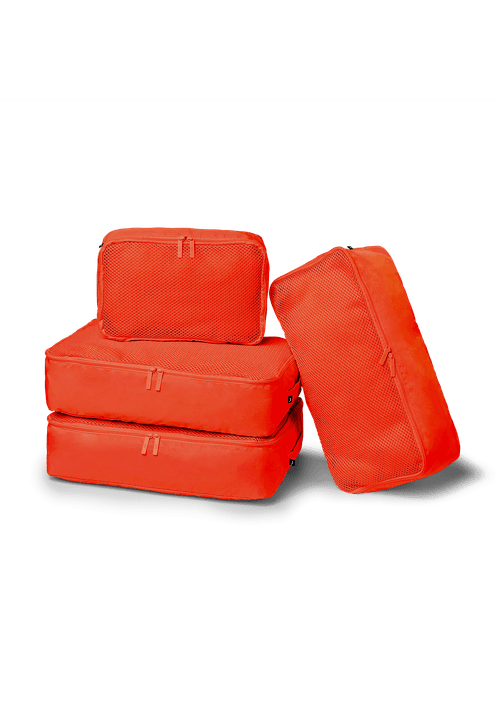 4P_Berry_Packing Cell.png