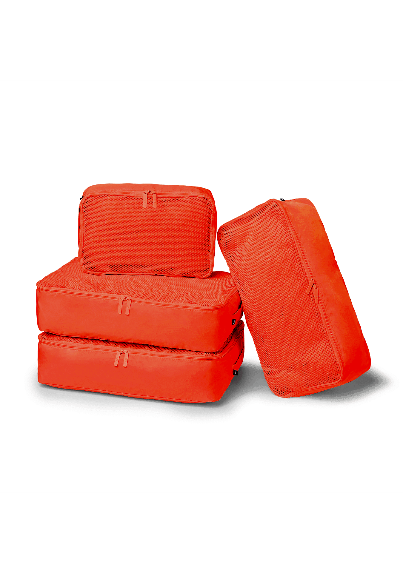 4P_Berry_Packing Cell.png