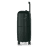 CHKL_Forest 3.png