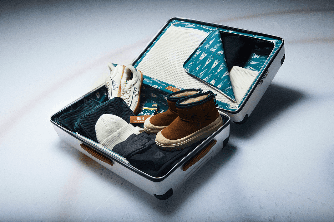 Suitcase in Snow Left